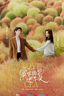 爱的生命密码